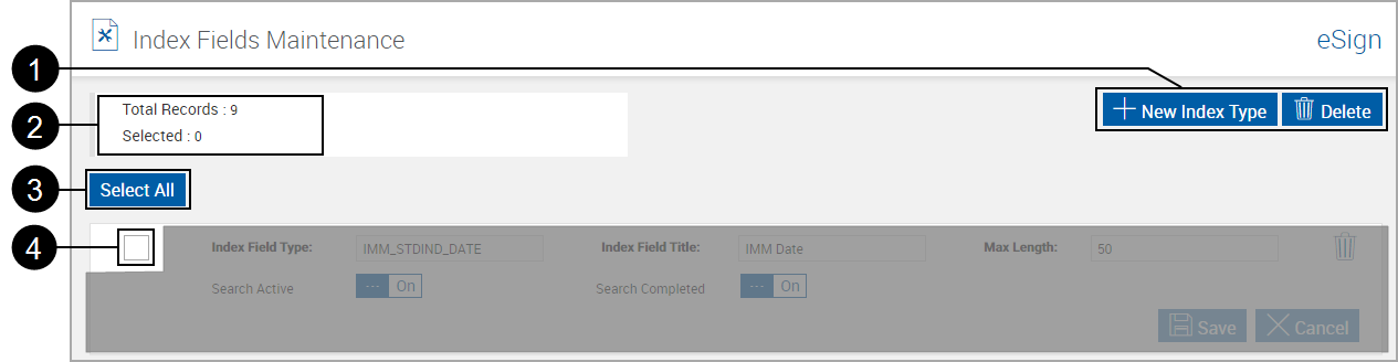 Index Fields Maintenance page, Top