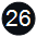 25